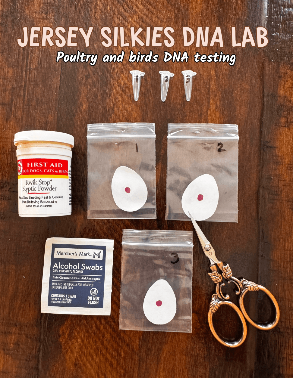 Jersey Silkies DNA Lab coffee filter collection kit with labeled bags, tubes, and supplies